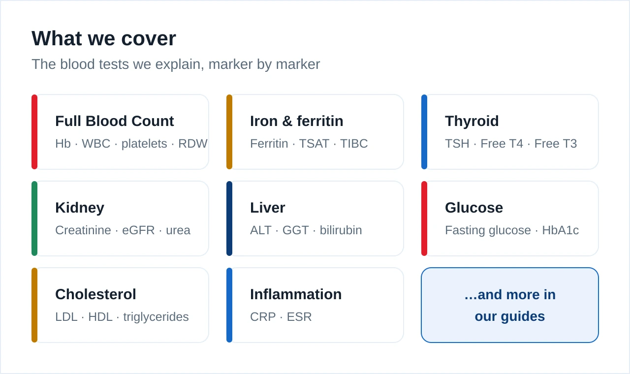 Coverage grid showing the blood test areas we explain: full blood count, iron and ferritin, thyroid, kidney and eGFR, liver, glucose and HbA1c, cholesterol, inflammation and CRP