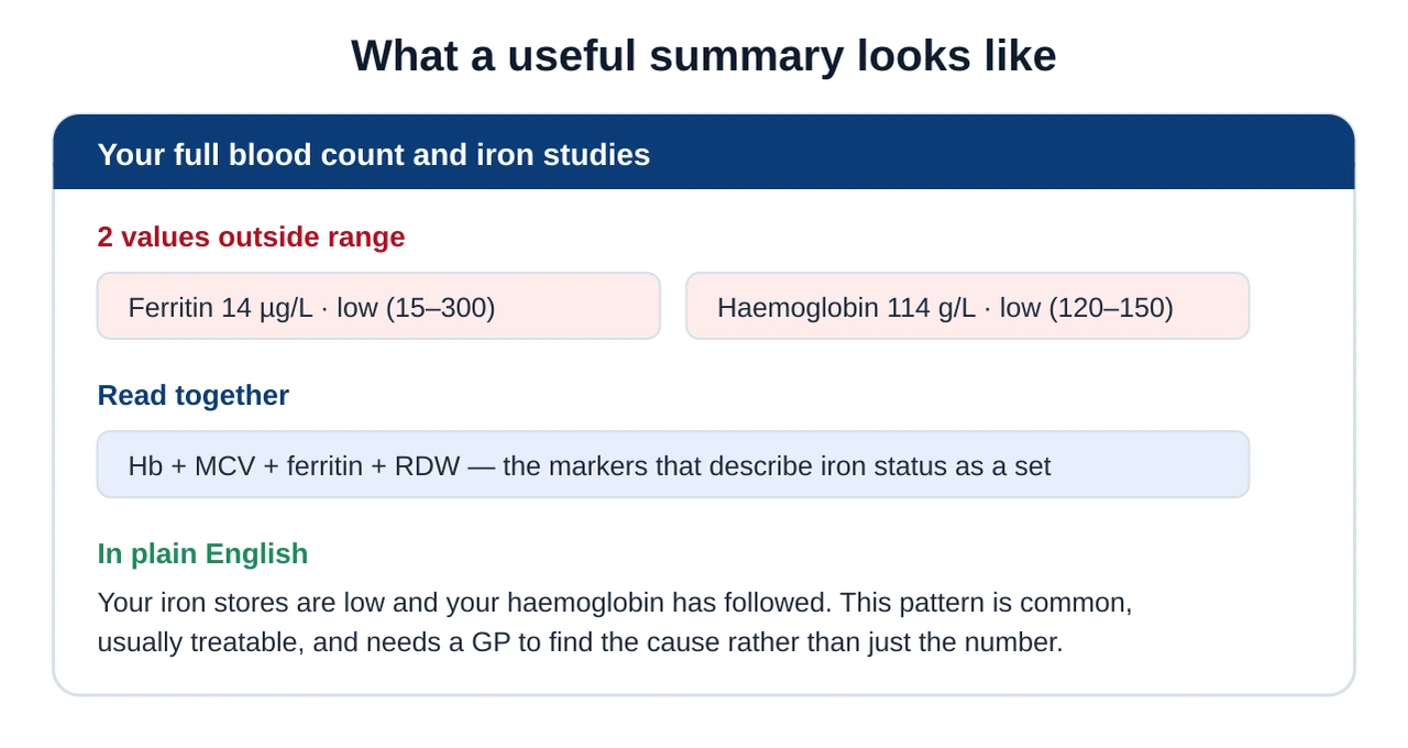 Example analyser output card showing two flagged values, a grouped iron pattern, a plain-English explanation and a prompt to discuss the results with a GP