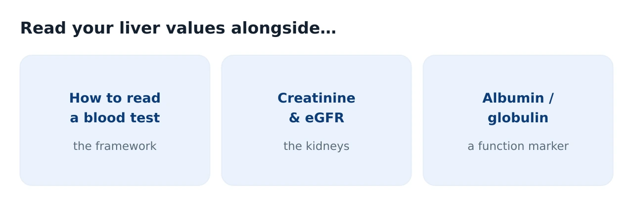 Panel of related guides linking to how to read a blood test, creatinine and eGFR kidney function, and the albumin to globulin ratio
