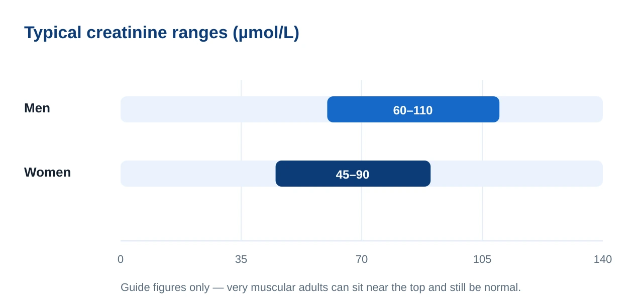 Horizontal reference-range bars for serum creatinine, showing men roughly 60 to 110 micromoles per litre and women roughly 45 to 90 micromoles per litre on a scale from 0 to 140