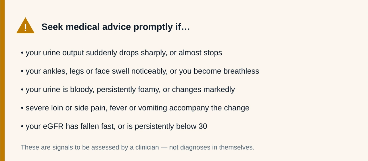 Warning card listing signs that warrant prompt medical attention, including a sudden drop in urine output, new swelling with breathlessness, blood or persistent foam in the urine, severe loin pain with fever, and a sharply falling or very low eGFR