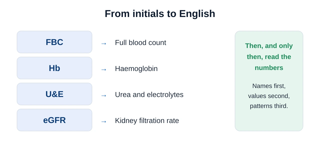 Diagram translating report abbreviations into plain English: FBC becomes full blood count, Hb becomes haemoglobin, U and E becomes urea and electrolytes, LFT becomes liver function tests, eGFR becomes kidney filtration rate