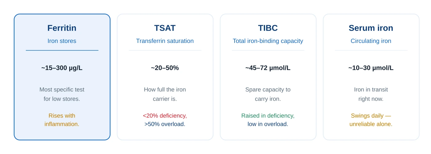 Four-panel summary of iron studies: ferritin measures stores, transferrin saturation measures the carrier, TIBC measures spare carrying capacity, and serum iron measures circulating iron