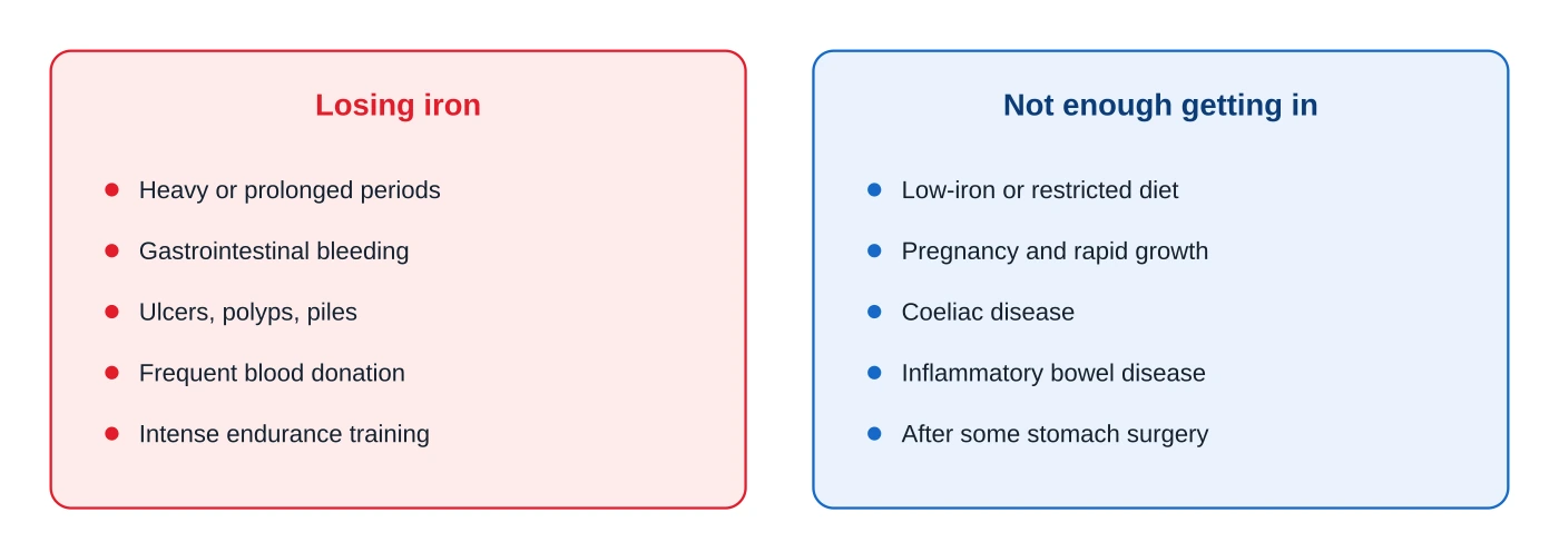 Two columns of causes of low ferritin: blood loss such as heavy periods and gut bleeding on one side, and low intake or poor absorption such as diet, pregnancy and coeliac disease on the other