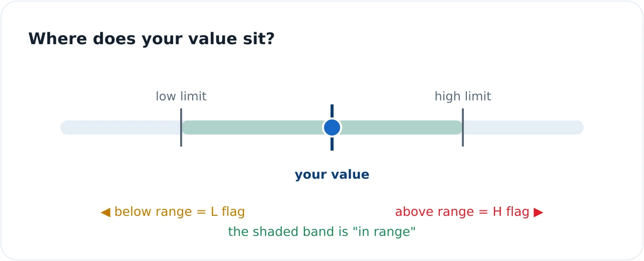 Reference range bar showing a green healthy band between a low limit and a high limit, with a marker indicating where a person's value sits inside the range