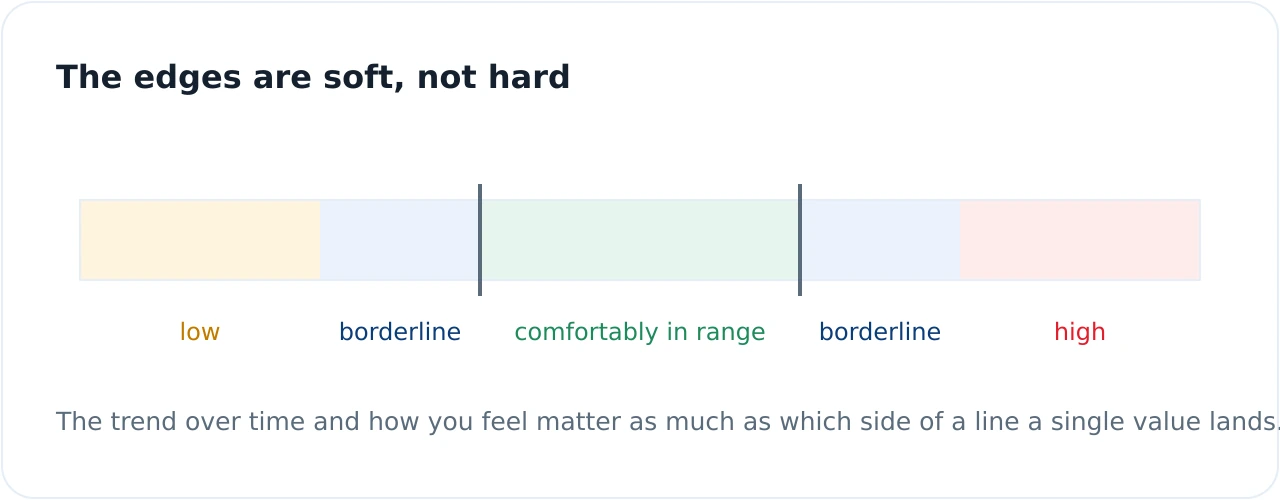 Zone bar showing that just below and just above the reference range is a soft borderline area, not a hard line between healthy and unwell