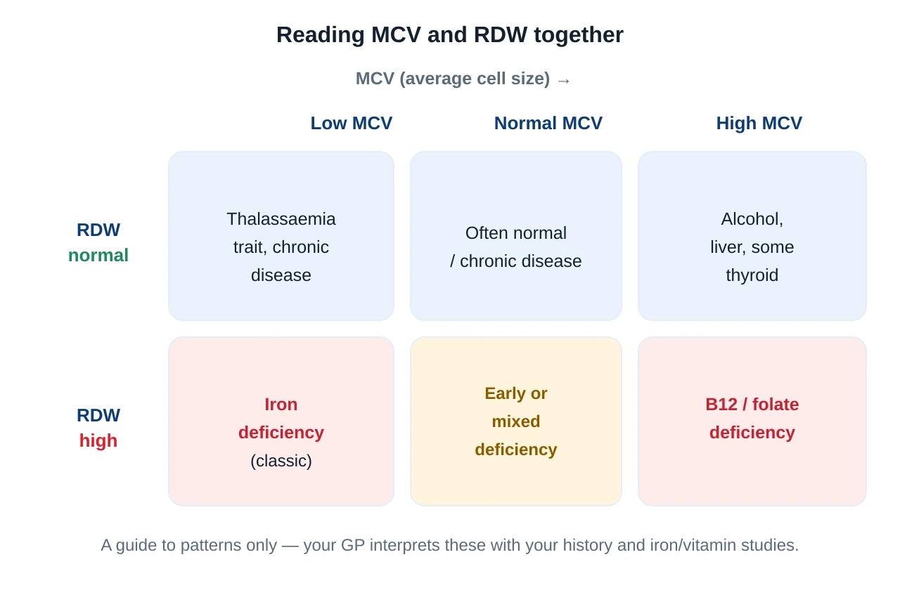 A grid crossing MCV low, normal and high against RDW normal and high, showing which anaemia patterns fall into each combination