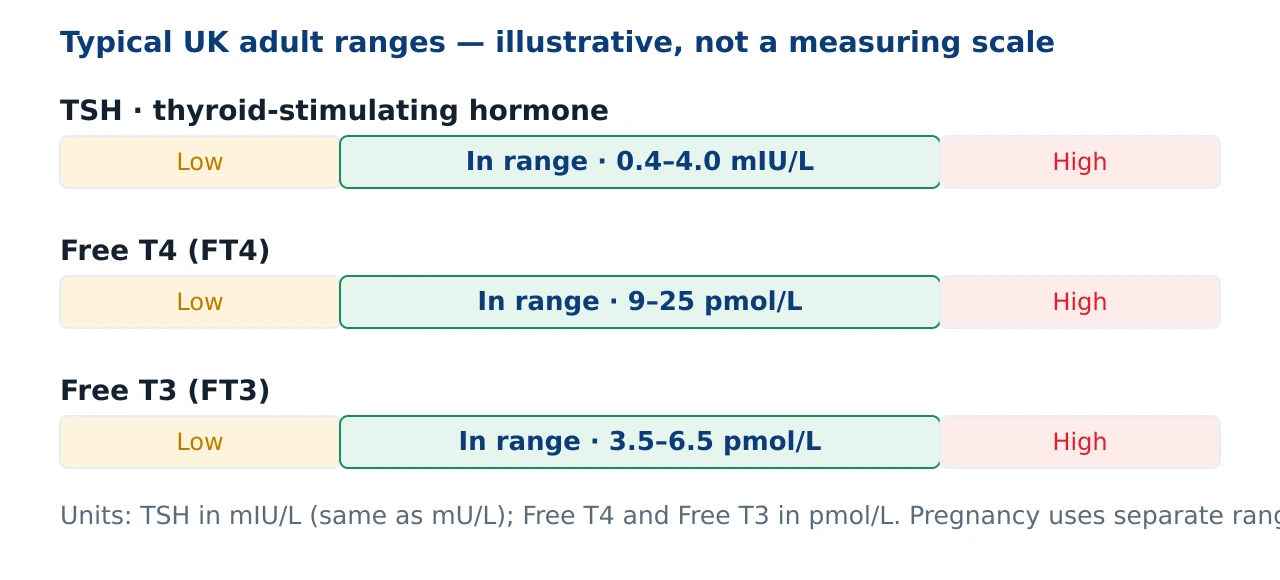 Three horizontal reference-range bars. TSH in range 0.4 to 4.0 milli-international units per litre; Free T4 in range 9 to 25 picomoles per litre; Free T3 in range 3.5 to 6.5 picomoles per litre. Each bar has a low zone, a green in-range zone and a high zone.