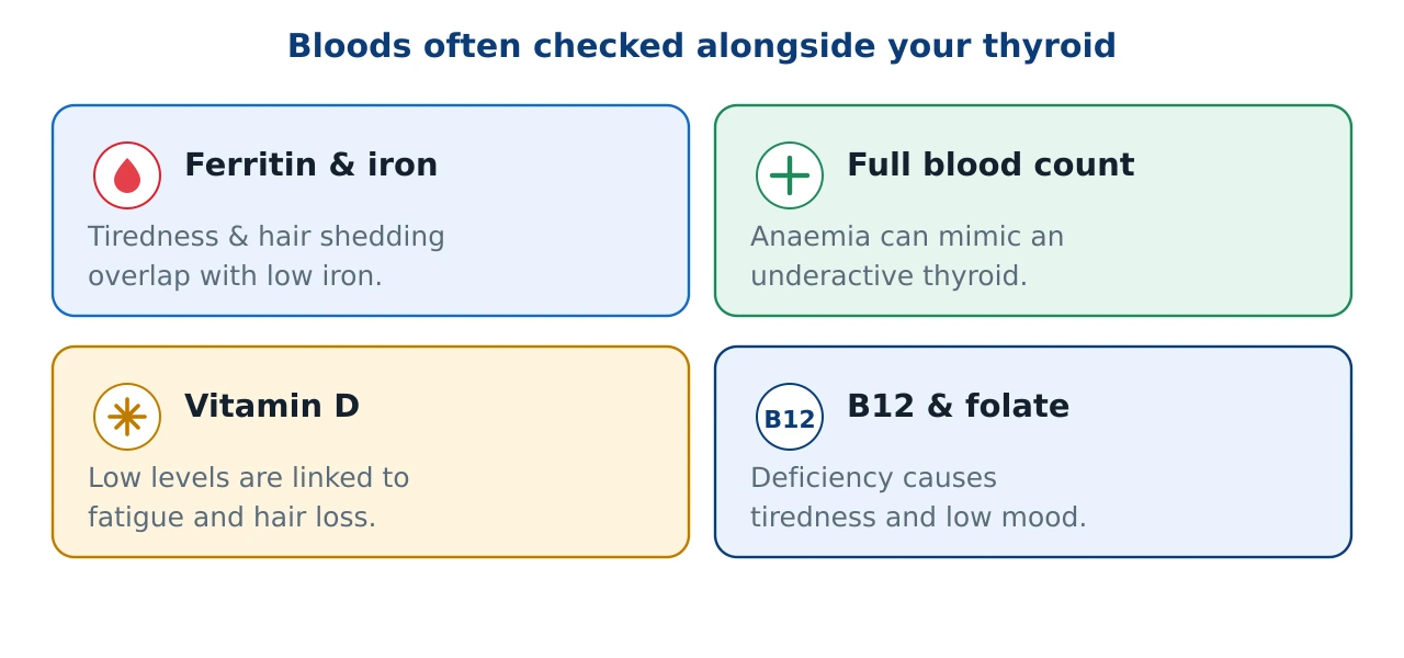 Four cards showing bloods often checked alongside the thyroid: ferritin and iron studies, full blood count, vitamin D, and vitamin B12 and folate, each with a note on how it overlaps with thyroid symptoms.