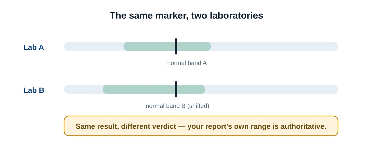 An illustration showing the same blood marker at two laboratories with slightly different normal bands. Lab A's normal band and Lab B's normal band sit in different positions, demonstrating that the reader's own report range is the authoritative one.